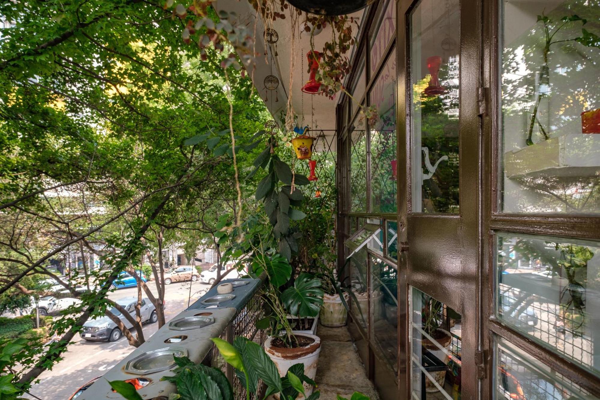 Casa Itzae B&B Polanquito Dog Friendly Mexico by Eksteriør bilde